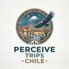 Foto de Perceive Trips Chile SpA